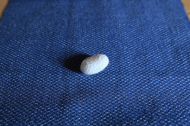 本塩沢の端切れを購入